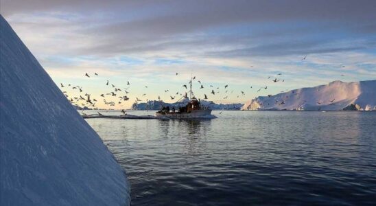 He had hinted at using soldiers Greenland tension between EU