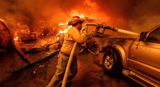 Heat record for almost the entire globe