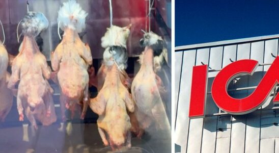 ICA customer Astrids shock dead birds hung in the delicacy counter