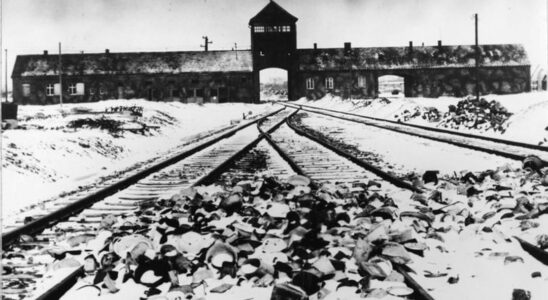 Images of the release of the Auschwitz camp on January