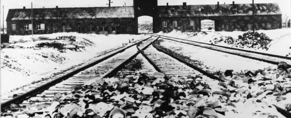 Images of the release of the Auschwitz camp on January