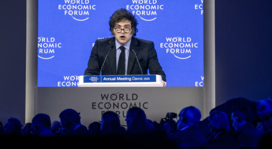 In Davos Javier Milei greets Donald Trump to legitimize his