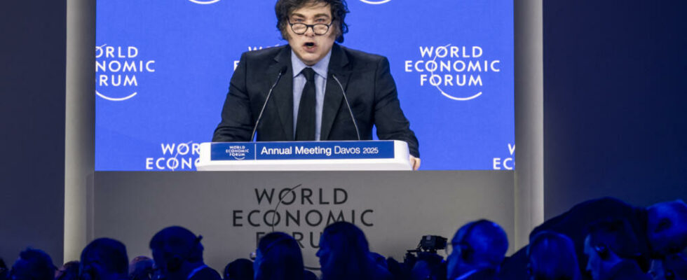 In Davos Javier Milei greets Donald Trump to legitimize his