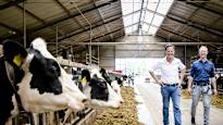 In Holland a court ordered the government to cut nitrogen