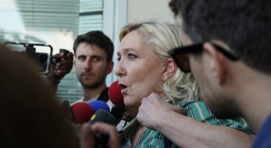 In Mayotte Marine Le Pen as spokesperson for residents and