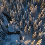 It feels like youre in Lapland this French ski resort