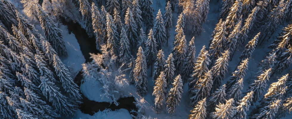 It feels like youre in Lapland this French ski resort