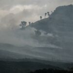 Kenya fire in the center of the country destroys more