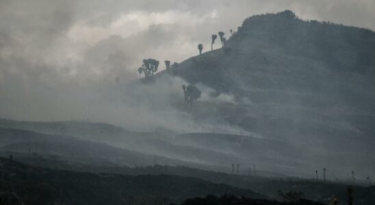 Kenya fire in the center of the country destroys more