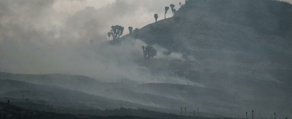 Kenya fire in the center of the country destroys more