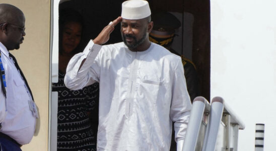 Mali around ten political parties launch an appeal for the