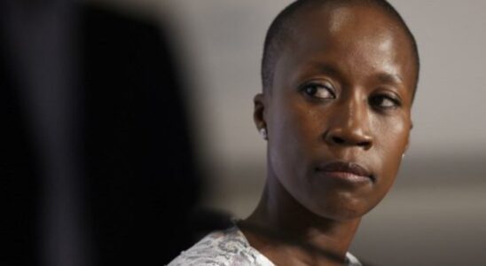 Malian singer Rokia Traore imprisoned in Belgium has been released