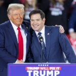 Marco Rubio Donald Trumps hawk to manage diplomacy – LExpress