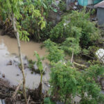 Mayotte back to school postponed after damage from cyclones Chido