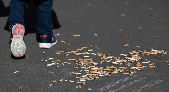 Milan bans cigarettes in all public spaces even outdoors