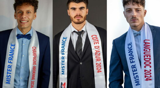 Mister France too perfect men and purchases of votes The