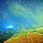 Mysterious Lost World Found Under the Pacific Ocean