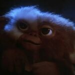 New Gremlins Movie is on the Way