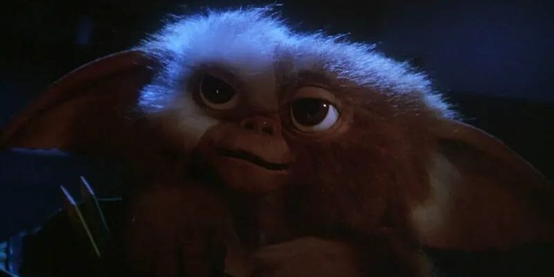 New Gremlins Movie is on the Way