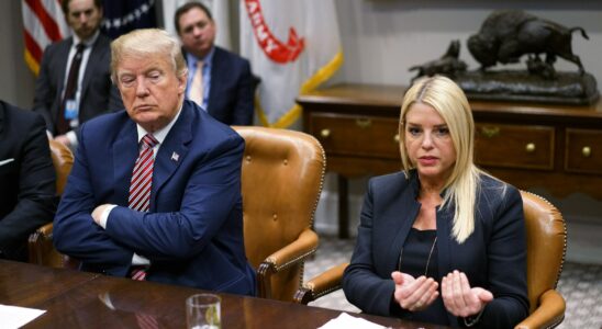 Pam Bondi at Justice the armed wing of Donald Trumps