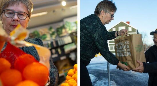 Pensioners buy food for the elderly and disabled in Lovanger