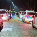 Police arrest escaped patient in Den Dolder after night hunting