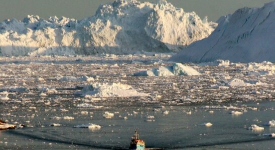 Redeem Greenland A bad deal for Donald Trump – LExpress