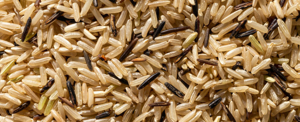 Senegal local rice enriched with micronutrients to fill hidden hunger