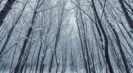 Snow arrives in these departments far from the mountains two