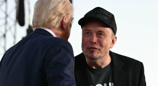 Steve Bannon Laura Loomer… These far right figures who reject Elon