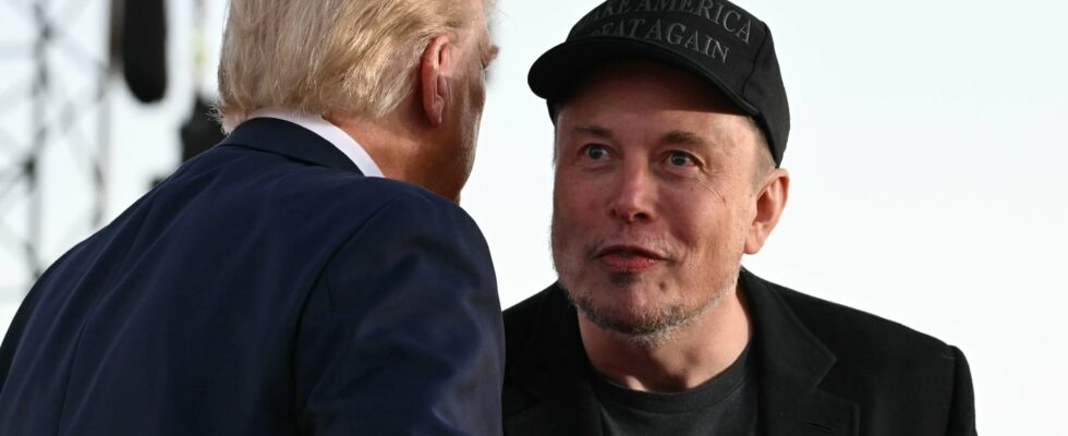 Steve Bannon Laura Loomer… These far right figures who reject Elon