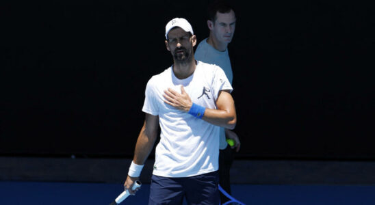 Tennis the new Djokovic Murray duo in the spotlight at the