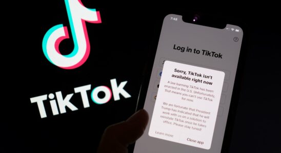 Thanks to Donald Trump TikTok will restore access to its