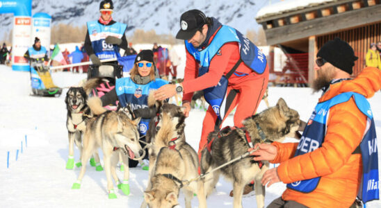 The Great Odyssey famous sled dog race A fusion between