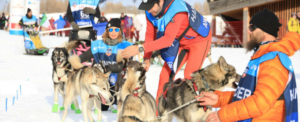 The Great Odyssey famous sled dog race A fusion between