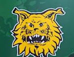 The Ilves junior coach is suspected of inappropriate behavior