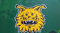 The Ilves junior coach is suspected of inappropriate behavior