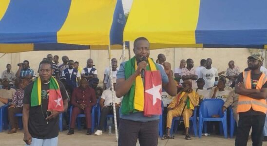 The Togo Debout front demands the election of a new president