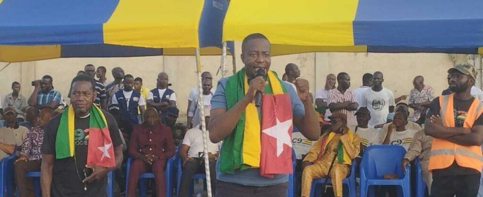 The Togo Debout front demands the election of a new president