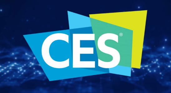 The most unusual technologies announced at CES 2025