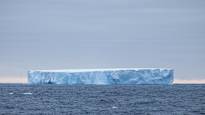 The worlds largest iceberg drifts towards an island inhabited by