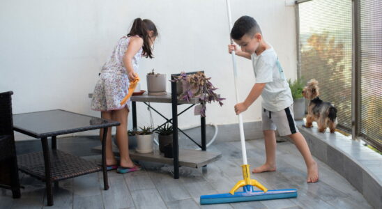 There is only one household chore that little boys do