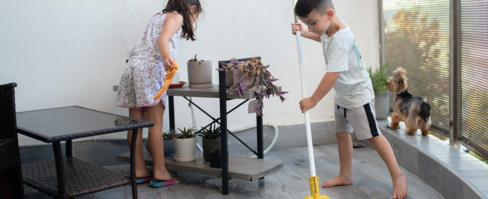 There is only one household chore that little boys do