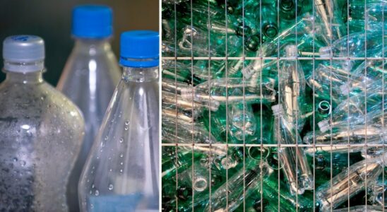 Therefore the PET bottles will change color in 2025