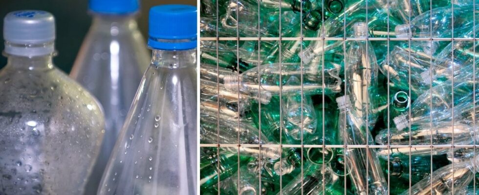 Therefore the PET bottles will change color in 2025