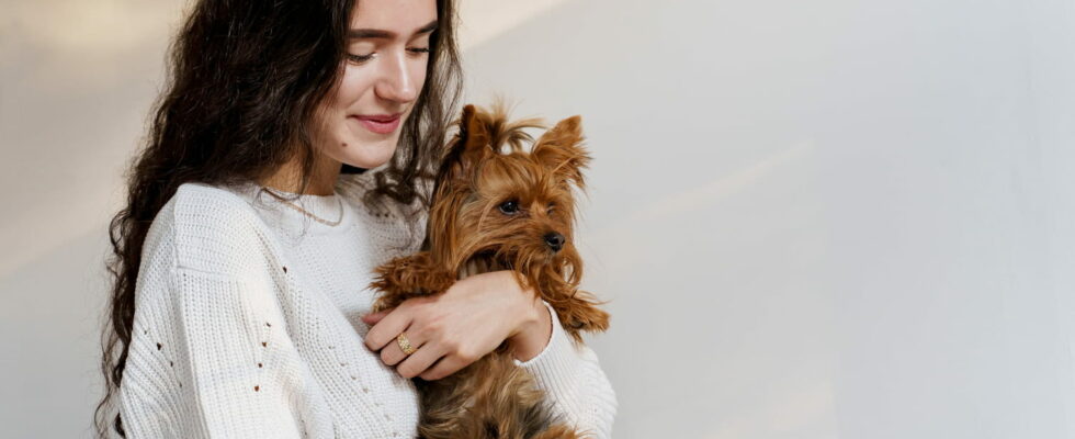 This Not So Obvious Sign Shows Your Dog is Starting to Age