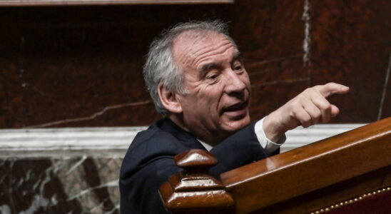 This little sentence of Bayrou on immigration could cause the