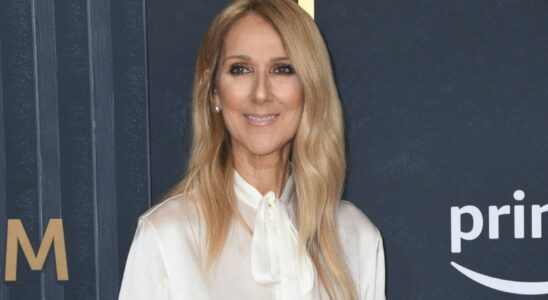 To wish a happy new year Celine Dion adopts makeup