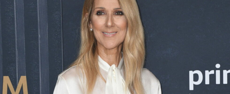 To wish a happy new year Celine Dion adopts makeup