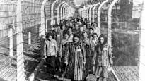 Today marks 80 years since the liberation of the Auschwitz